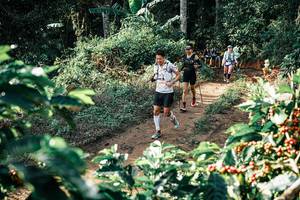 BIB: 
                            <button type="button" onclick="openModal(25852958)" class="btn btn-primary btn-sm float-right btn-popup" data-toggle="modal" data-target=".modal-high-quality">
                        <i class="fas fa-shopping-cart"></i> Add to Cart
                    </button>
                                            <button type="button" onclick="isThisMe(25852958, true)" class="btn btn-success btn-sm float-right btn-popup btn-isme hidden" data-toggle="tooltip" data-placement="bottom" title="นี่คือรูปของคุณใช่ไหม คลิกที่นี่เพื่อเอาเข้าอัลบั้ม">
                        <i class="fas fa-plus"></i> Add to album
                    </button>
                    <button type="button" onclick="isThisMe(25852958, false)" class="btn btn-warning btn-sm float-right btn-popup btn-isnotme hidden">
                        <i class="fas fa-ban"></i> Remove from album
                    </button>